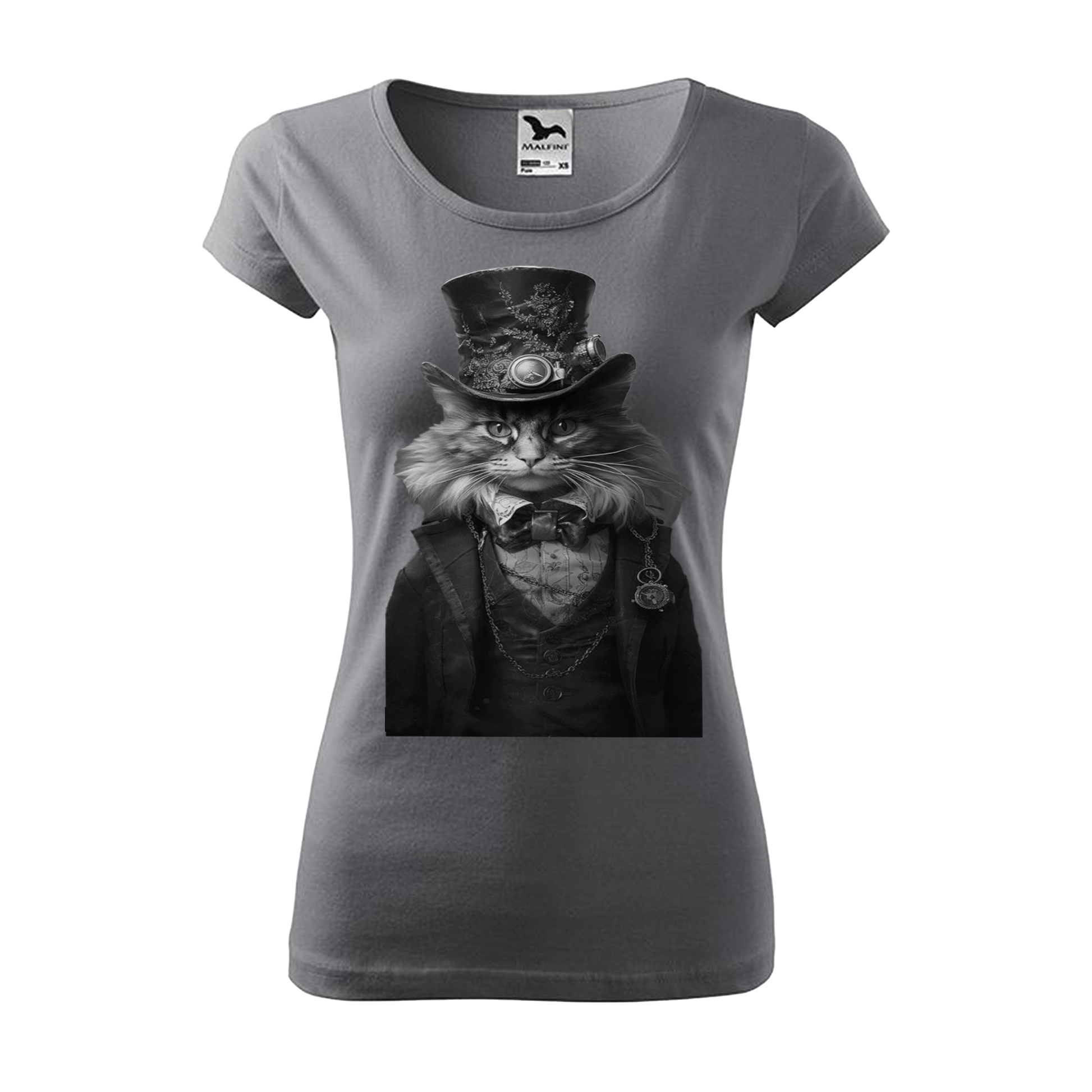 Collection "Chat dandy"